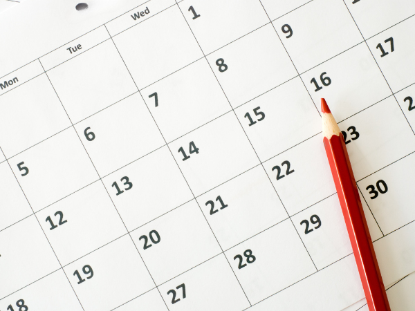 photo of a blank calendar with a red colored pencil